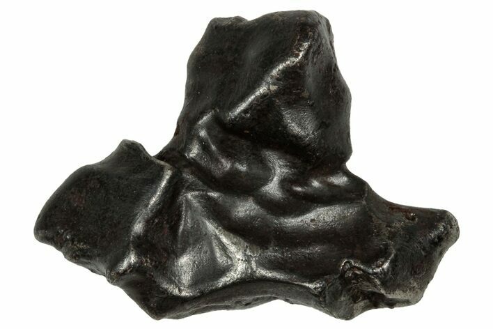 Fusion Crusted Sikhote-Alin Iron Meteorite ( g) - Russia #334566